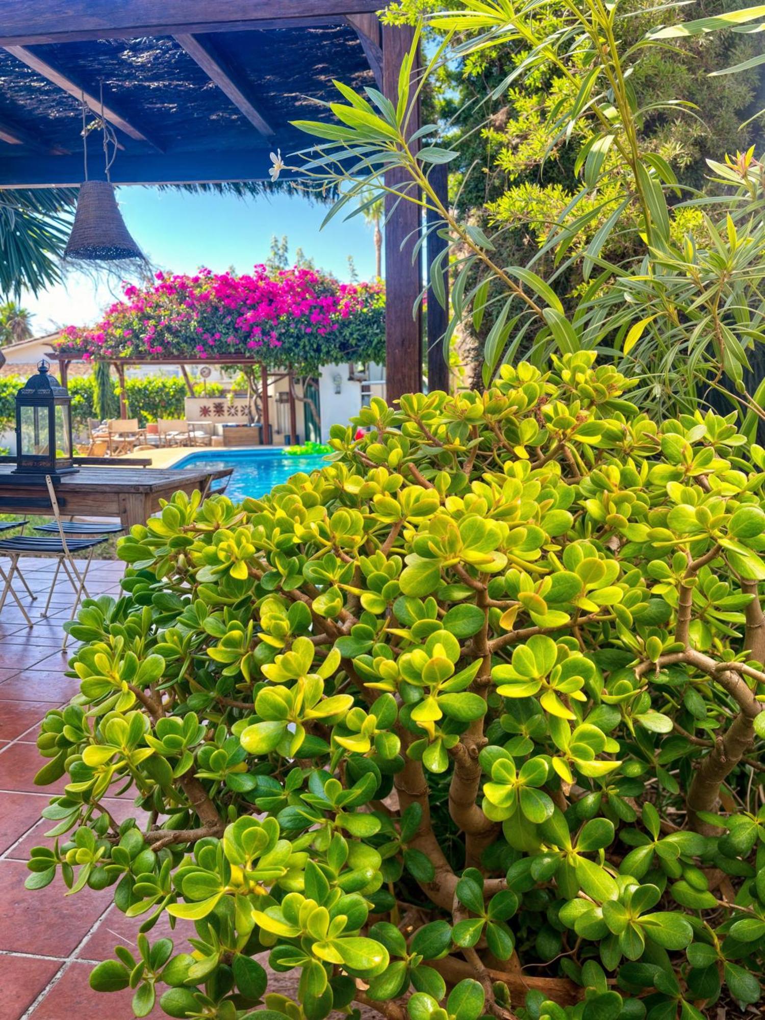 Villa Alfredo - Private Pool Next To The Beach Estepona Dış mekan fotoğraf